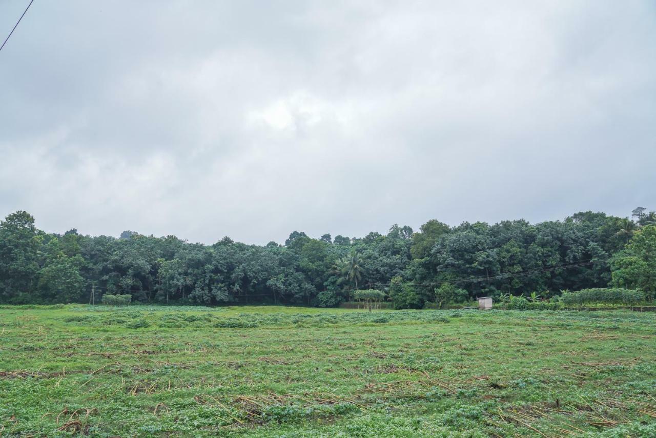 Thanal Premium Villa By - A Place To Call Your Home Muvattupuzha Eksteriør billede
